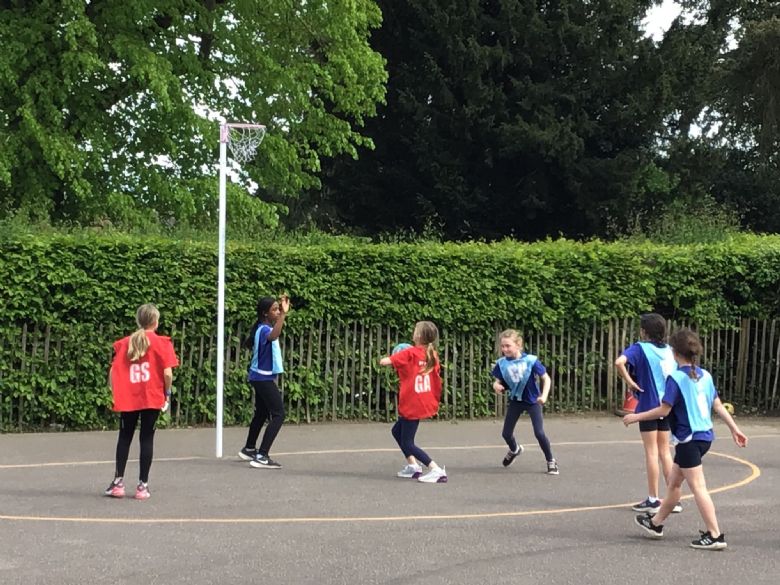 St Peter's Church of England Primary School - Sports News